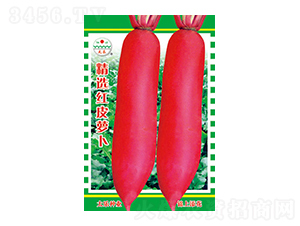 �}���N��-���x�tƤ�}��-̫���N�I