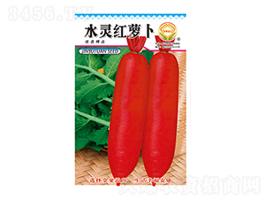 �}���N��-ˮ�`�t�}��-̫���N�I