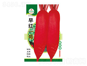 �}���N��-��tһ̖-̫���N�I