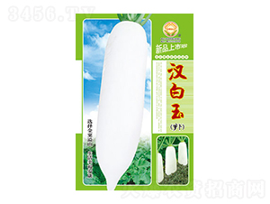 �}���N��-�h����-̫���N�I