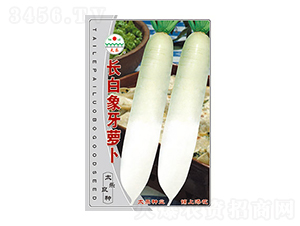 �}���N��-�L�������}��-̫���N�I