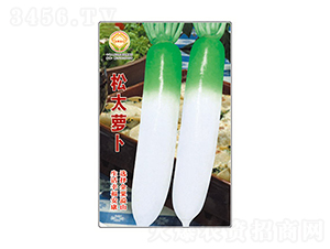 �}���N��-��̫�}��-̫���N�I