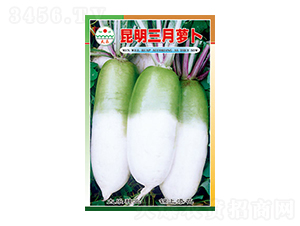 �}���N��-���������}��-̫���N�I