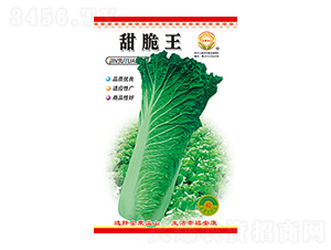 �ײ˷N��-�����-̫���N�I