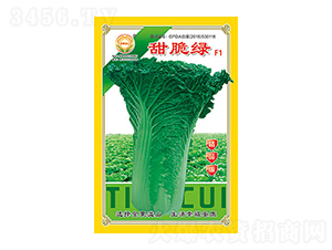 �ײ˷N��-���G��Ʒ��-̫���N�I