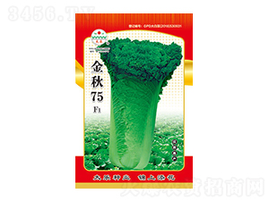 �ײ˷N��-����75-̫���N�I