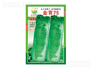 �ײ˷N��-����75-̫���N�I