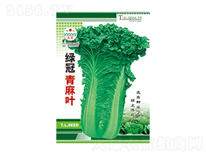 �ײ˷N��-�G�������~-̫���N�I