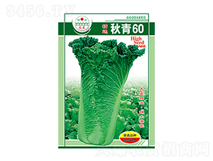 �ײ˷N��-����60-̫���N�I