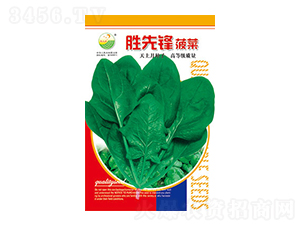 ���˷N��-�����h-̫���N�I