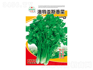 ���˷N��-���؁�˹����-̫���N�I