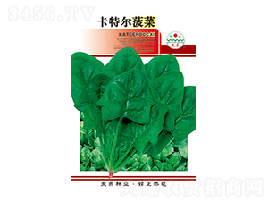 ���˷N��-���ؠ�����-̫���N�I