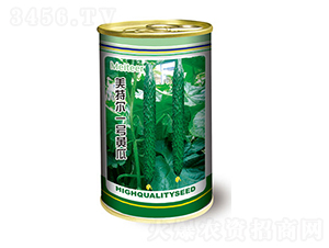 �S�ϷN��-���ؠ�һ̖�S��-̫���N�I