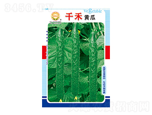 �S�ϷN��-ǧ���S��-̫���N�I