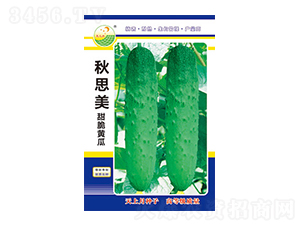 �S�ϷN��-��˼��-̫���N�I