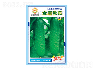 �S�ϷN��-�������-̫���N�I