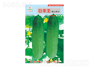 �S�ϷN��-���S��-̫���N�I