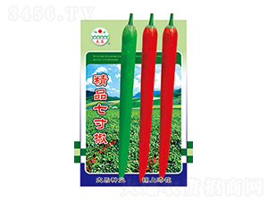 �����N��-��Ʒ�ߴ罷-̫���N�I