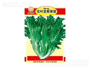 ��˷N��-���x���~�������-̫���N�I