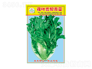 ��˷N��-���~�������-̫���N�I