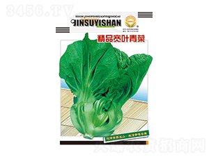 ��˷N��-��Ʒ���~���-̫���N�I