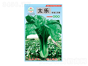 青菜種子-標準三月青-太樂種業