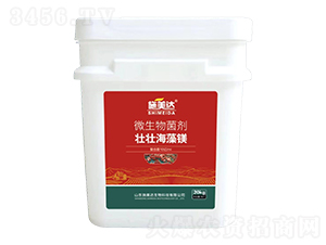 ΢�������-�щѺ����V-ʩ���_