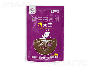 ���o��΢�������-���|�z-�ĳǿƄ�