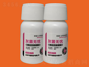 ��ù�o�n-�V�V����ˎ������-�o�rֲ��