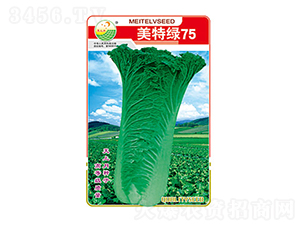 �ײ˷N��-���ؾG75-̫���N�I