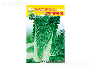 �ײ˷N��-�ձ������ײ�-̫���N�I