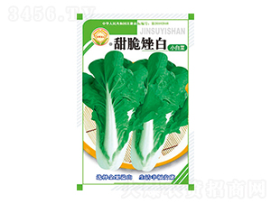 �ײ˷N��-������-̫���N�I