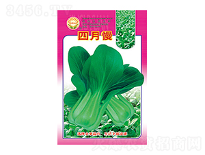 �ײ˷N��-������-̫���N�I