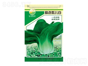 �ײ˷N��-���xư����-̫���N�I