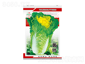 �ײ˷N��-�S��-̫���N�I