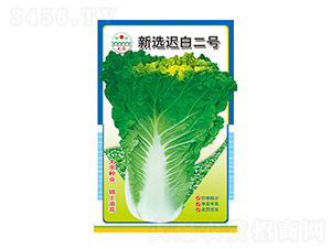 �ײ˷N��-���x�t�׶�̖-̫���N�I