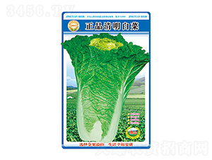 �ײ˷N��-�����ײ�-̫���N�I