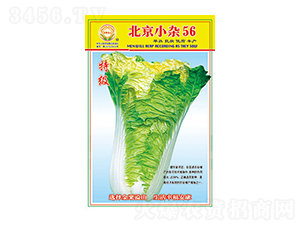 �ײ˷N��-����С�s56-̫���N�I