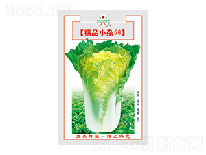 �ײ˷N��-��ƷС�s56-̫���N�I