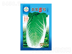 �ײ˷N��-̫��5̖-̫���N�I