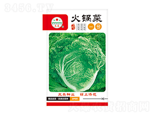 �ײ˷N��-��偲�-̫���N�I