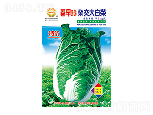 �ײ˷N��-����66-̫���N�I