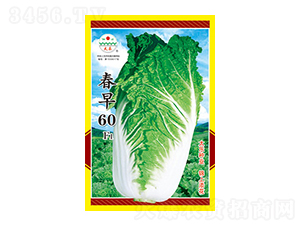 �ײ˷N��-����60F1-̫���N�I