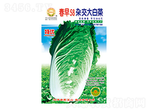 �ײ˷N��-����58-̫���N�I