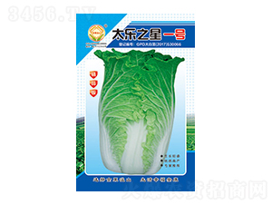 �ײ˷N��-̫��֮��һ̖��Ʒ��-̫���N�I