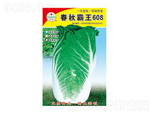 �ײ˷N��-�������608-̫���N�I