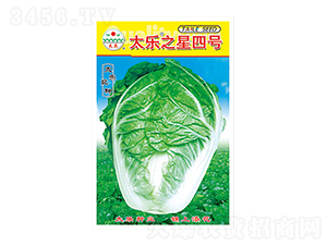 �ײ˷N��-̫��֮����̖-̫���N�I