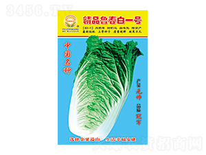 �ײ˷N��-��Ʒ������һ̖-̫���N�I