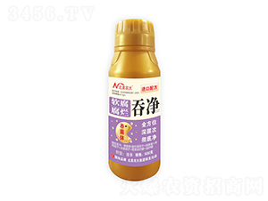 ܛ�������̃�-�����r��