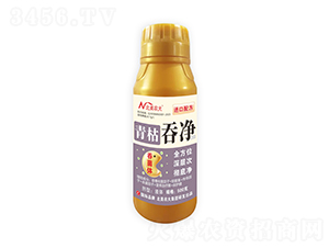 ����̃�-�����r��